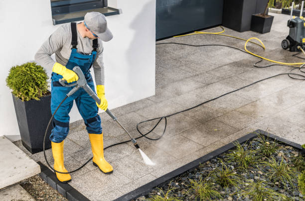 Best Exterior Home Cleaning  in River Ridge, LA