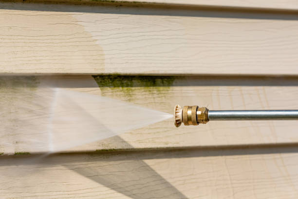 Best Local Pressure Washing Services  in River Ridge, LA